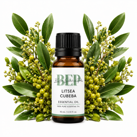 Litsea Cubeba