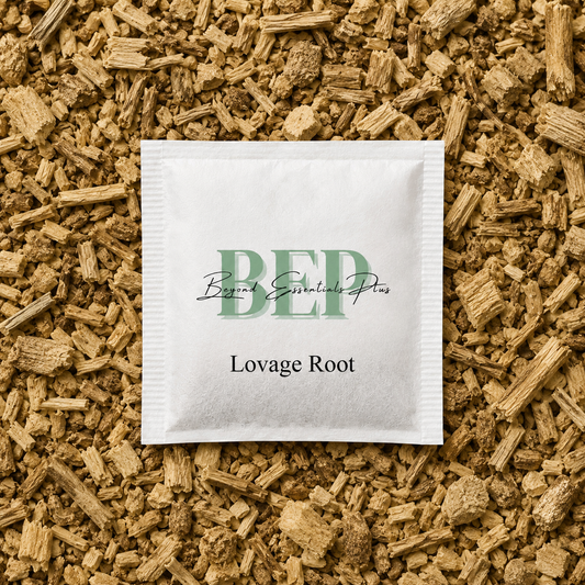 Lovage Root Tea Bag