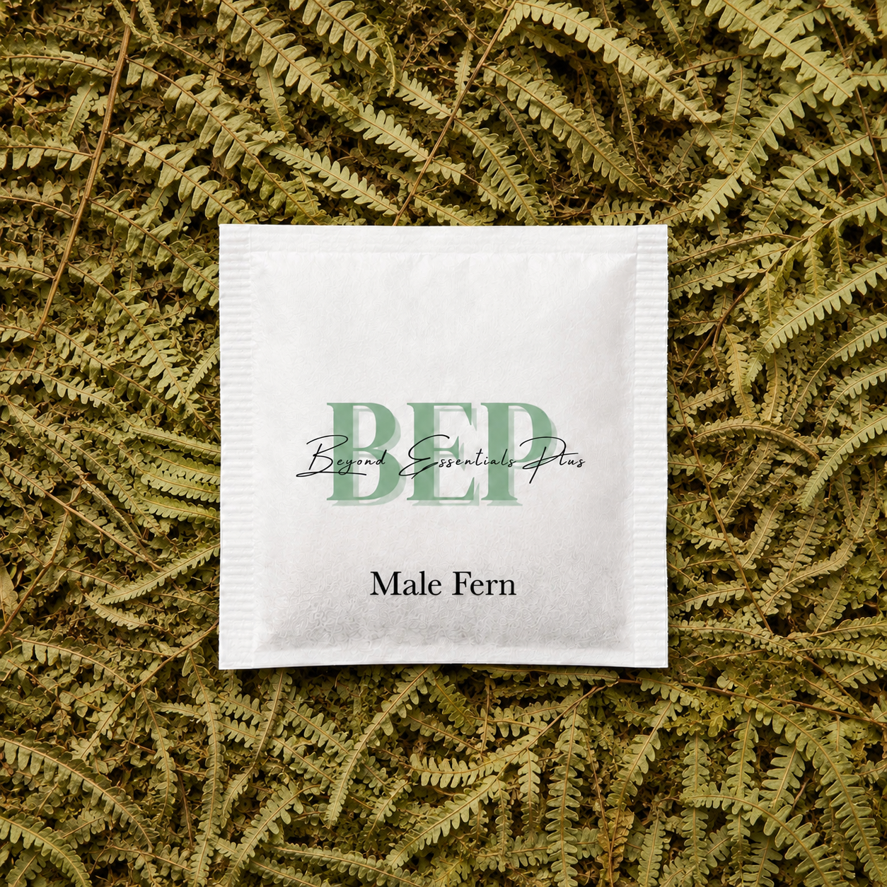 Male Fern Tea Bag