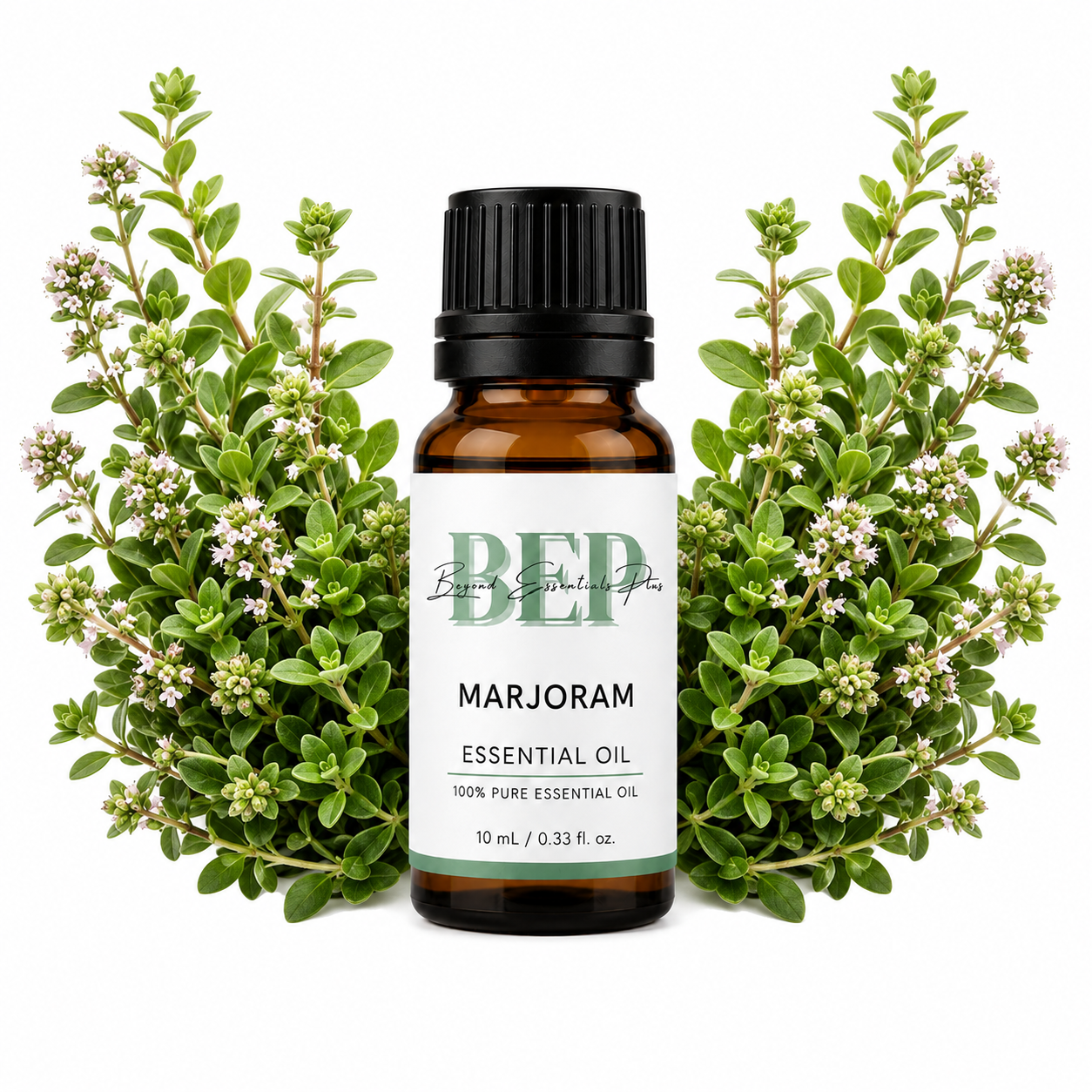 Marjoram