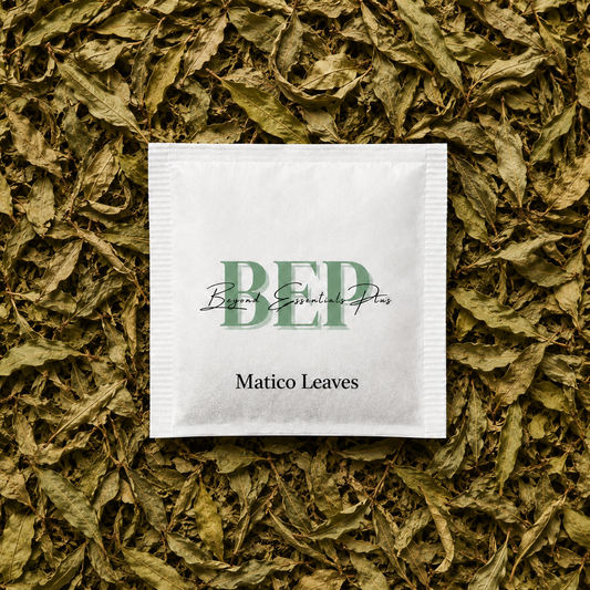 Matico Leaves Tea Bag