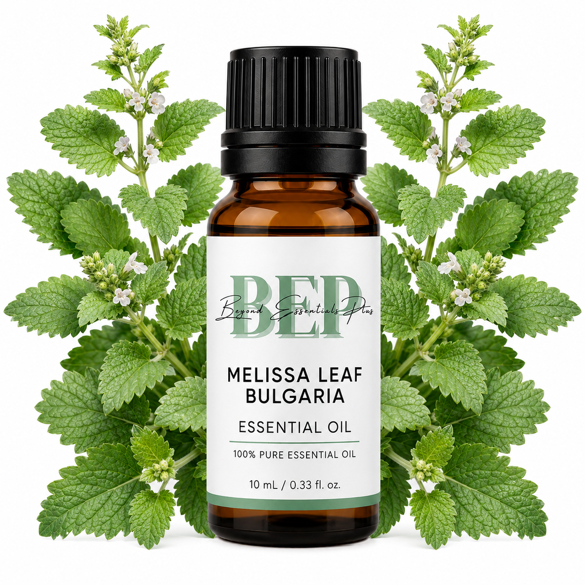 Melissa Leaf Bulgaria