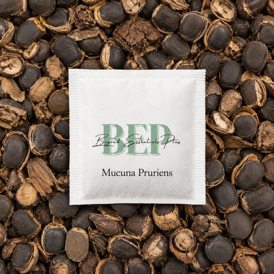 Mucuna Pruriens Tea Bag