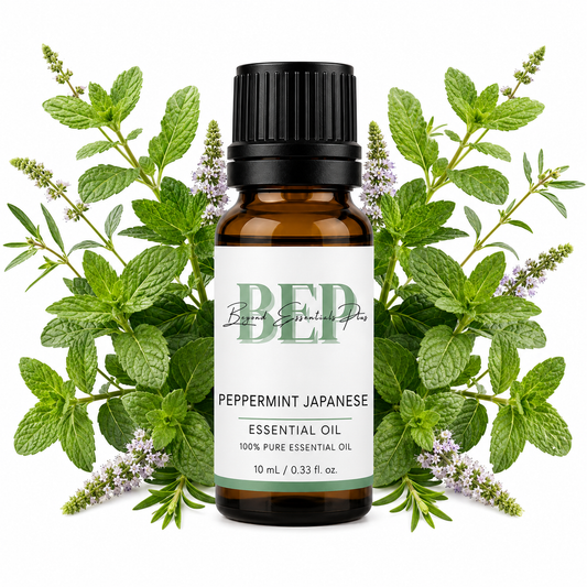 Menthe poivrée japonaise
