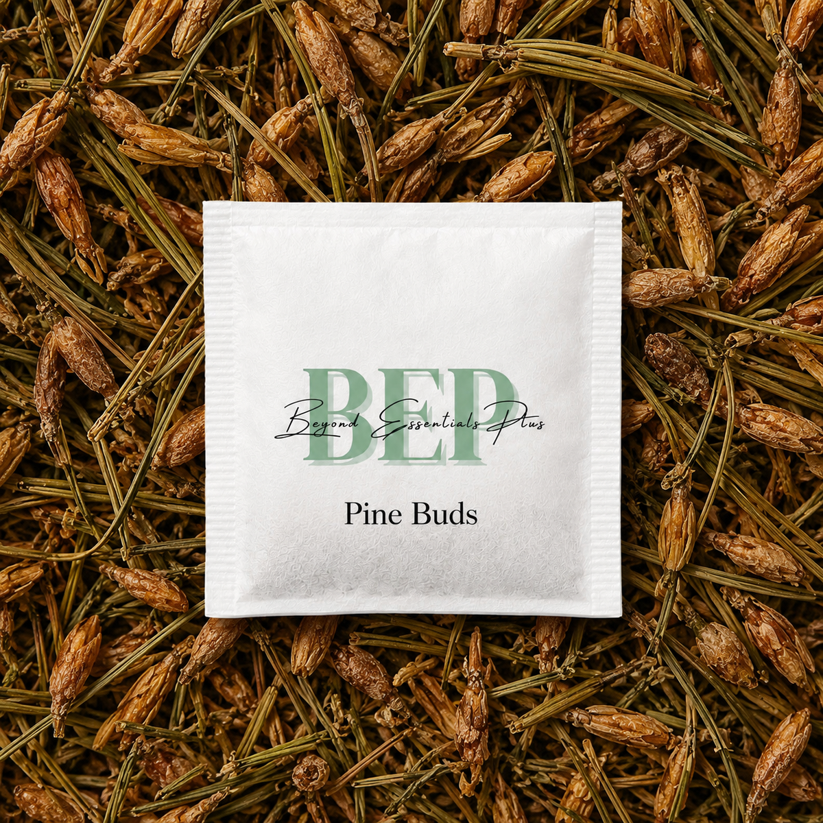 Sachet de thé aux bourgeons de pin