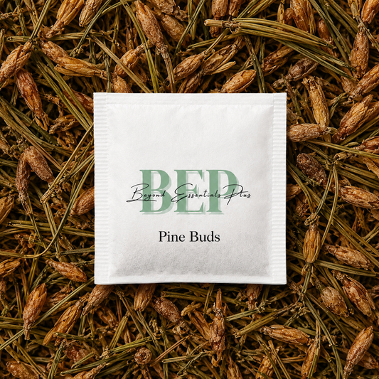 Pine Buds Tea Bag