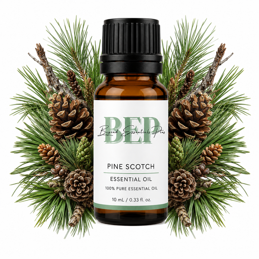 Pine Scotch