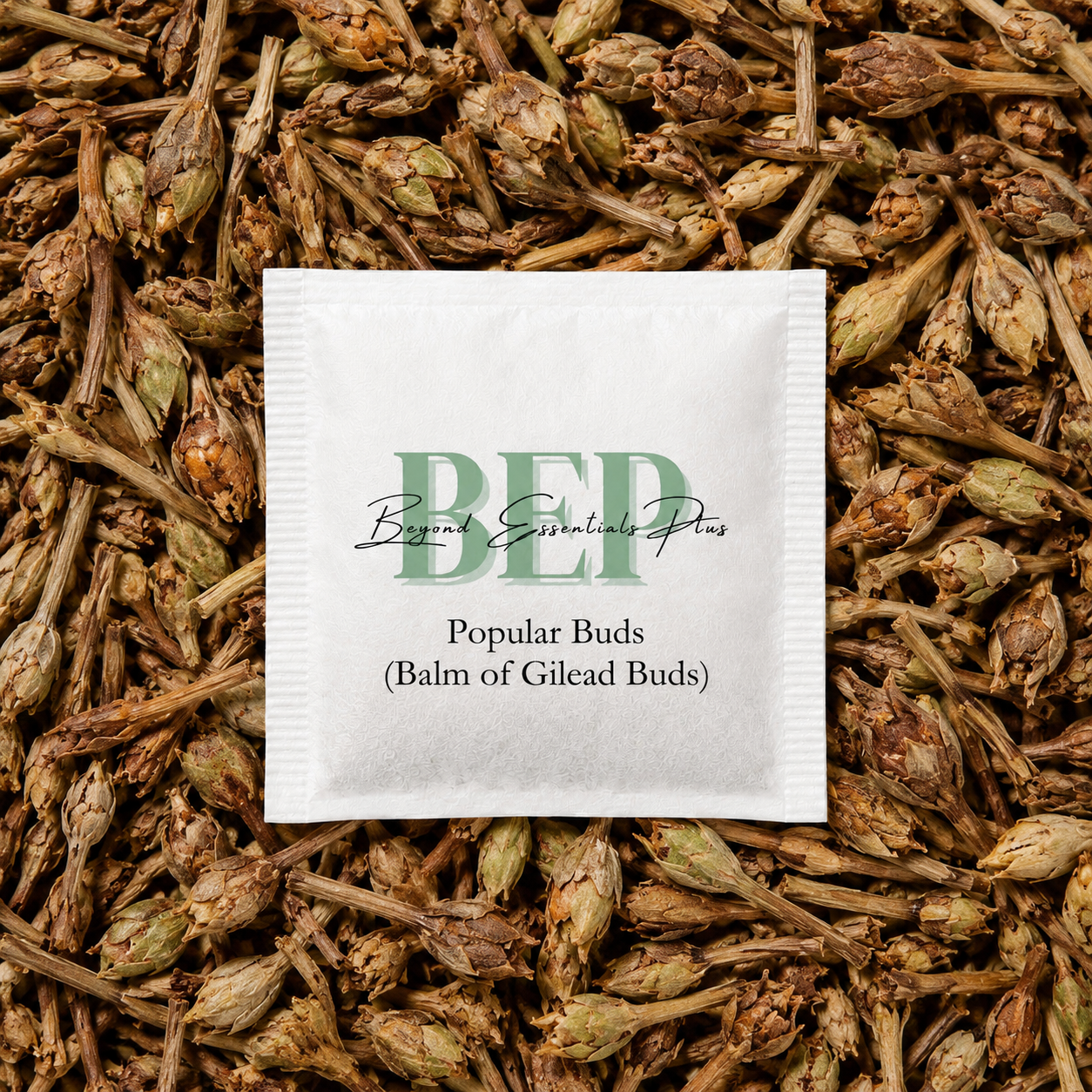 Popular Buds (Balm of Gilead Buds) Tea Bag