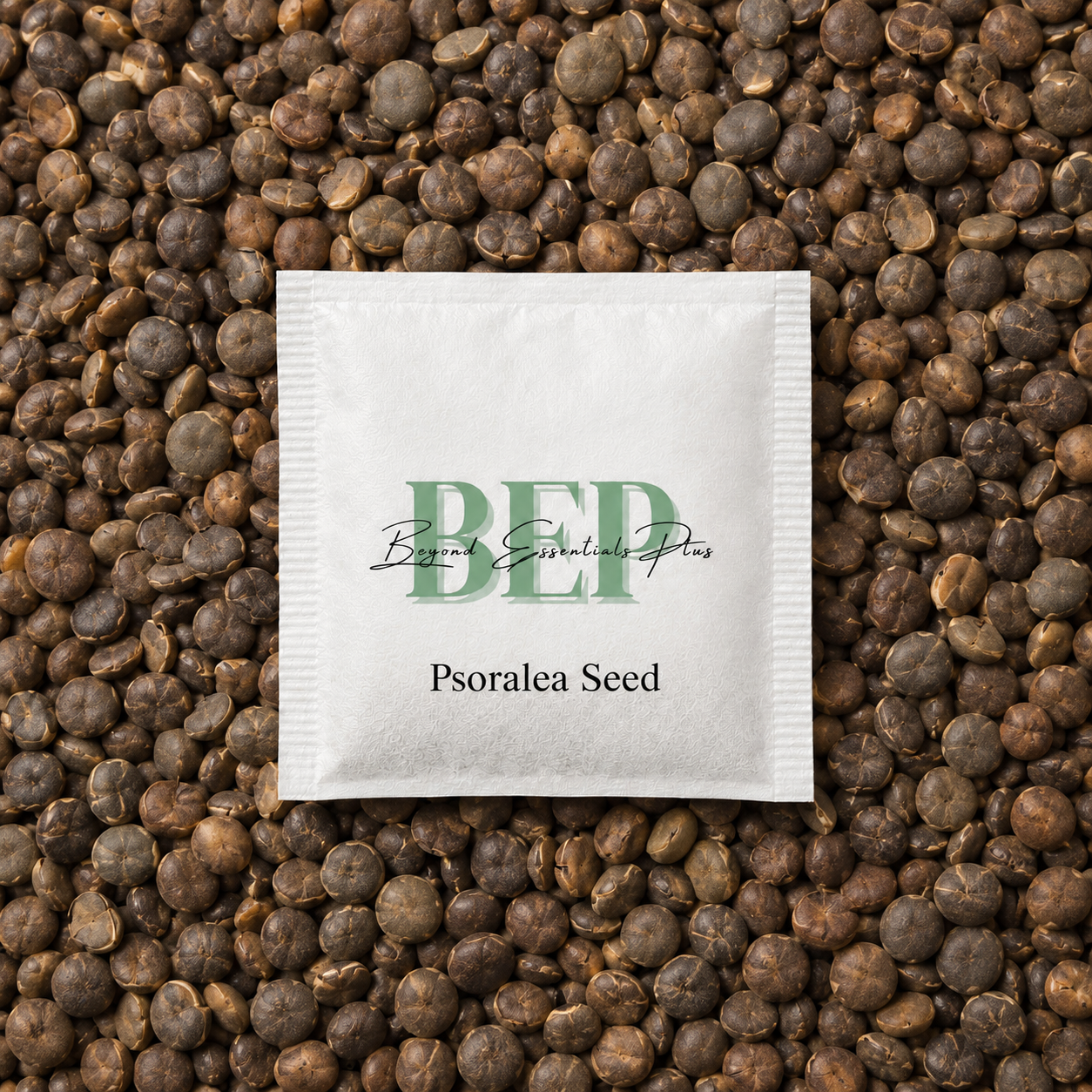 Psoralea Seed Tea Bag