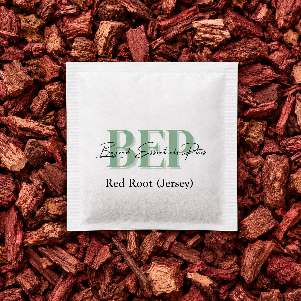 Red Root (Jersey Tea Bag) Tea Bag