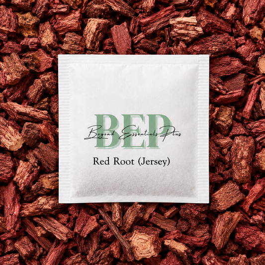 Red Root (Jersey Tea Bag) Tea Bag