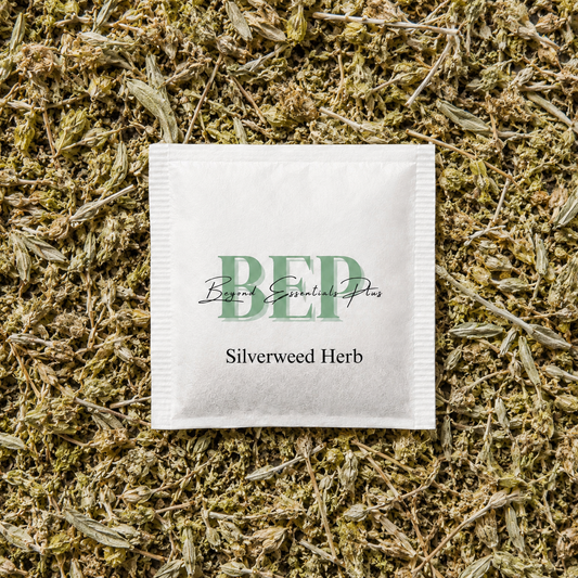 Silverweed Herb Tea Bag