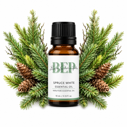 Spruce White