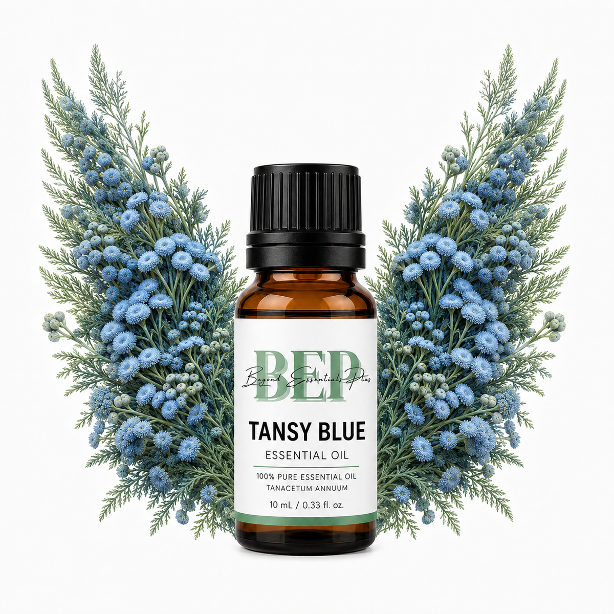 Tansy Blue