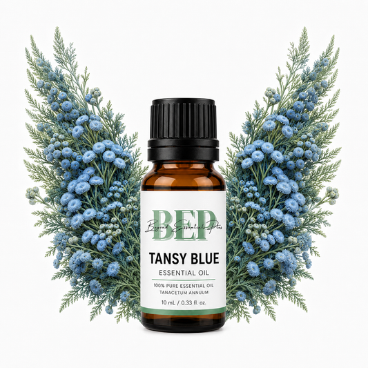 Tansy Bleu