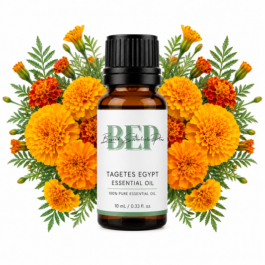 Tagetes Égypte