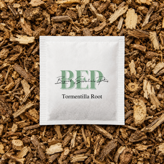 Tormentilla Root Tea Bag