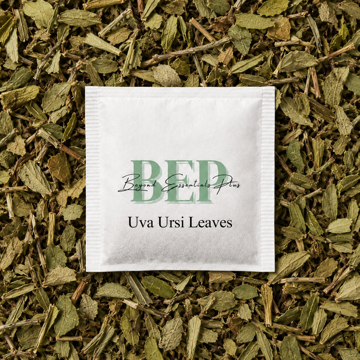Uva Ursi Leaves Tea Bag