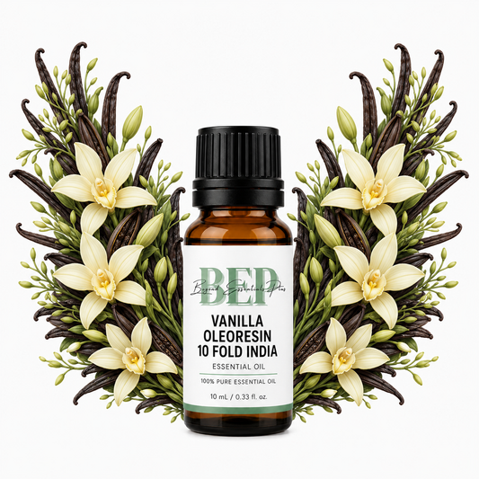 Vanilla Oleoresin 10 Fold India