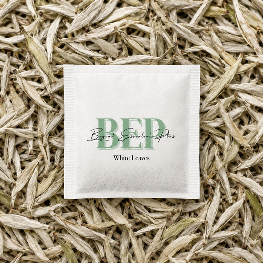 White Tea Bag Leaves Tea Bag