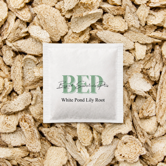 White Pond Lily Root Tea Bag