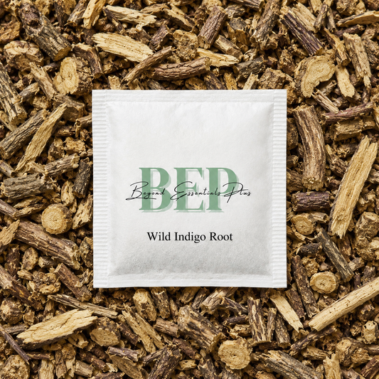 Wild Indigo Root Tea Bag