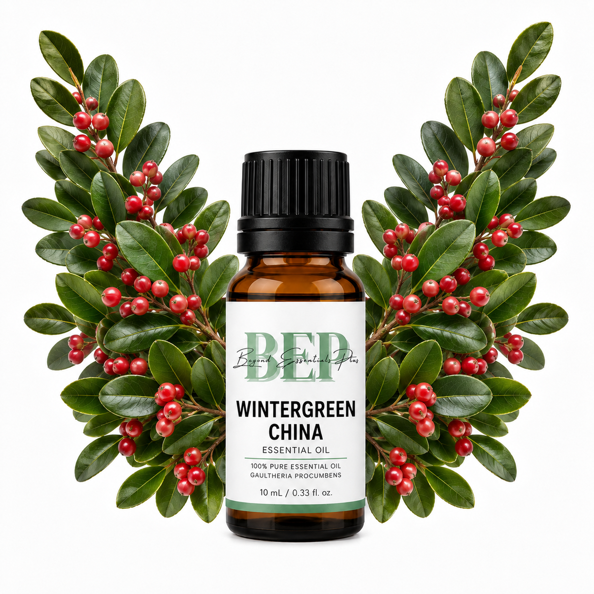 Wintergreen China
