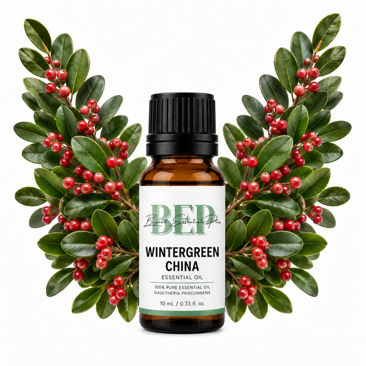 Wintergreen China