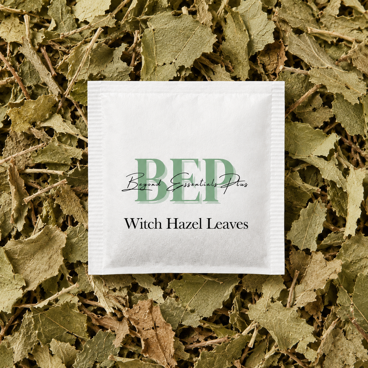 Witch Hazel Leaves Tea Bag