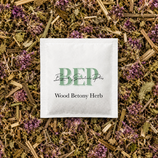 Wood Betony Herb Tea Bag
