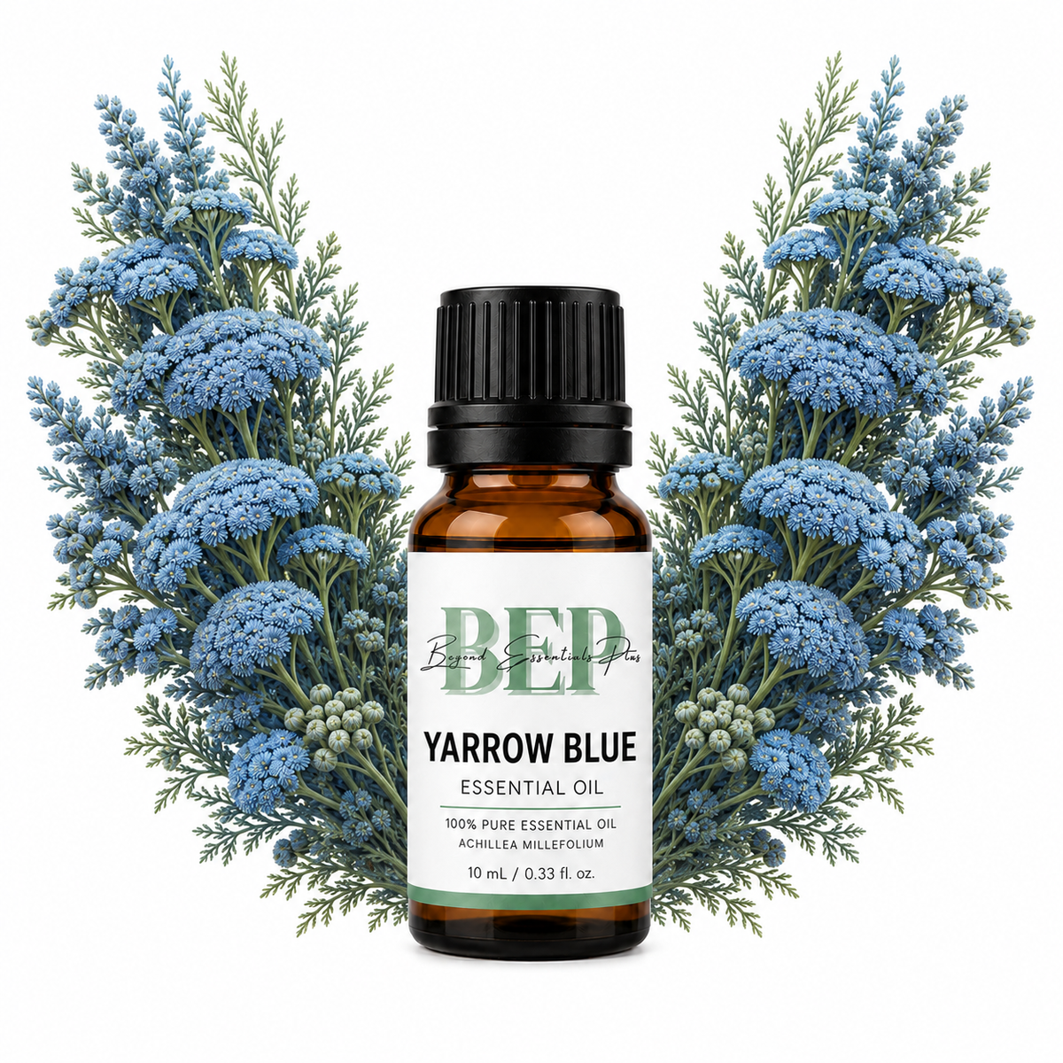 Yarrow Blue
