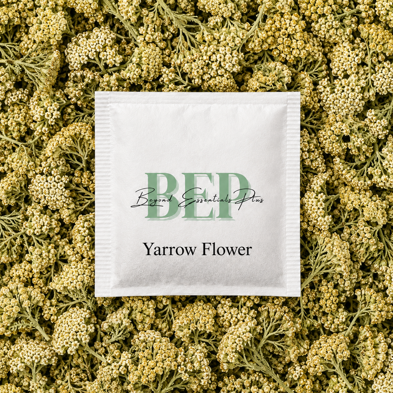 Yarrow Flower Tea Bag
