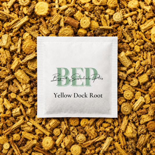Yellow Dock Root Tea Bag