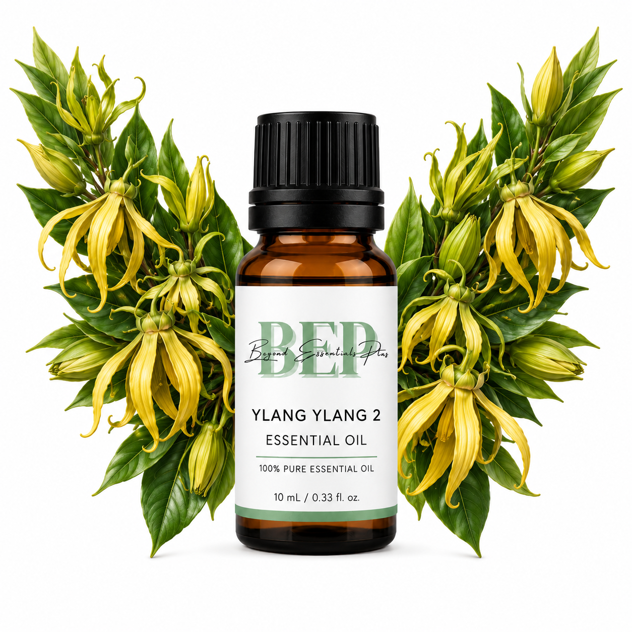 Ylang Ylang 2