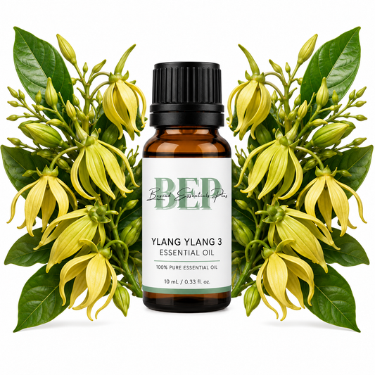 Ylang Ylang 3