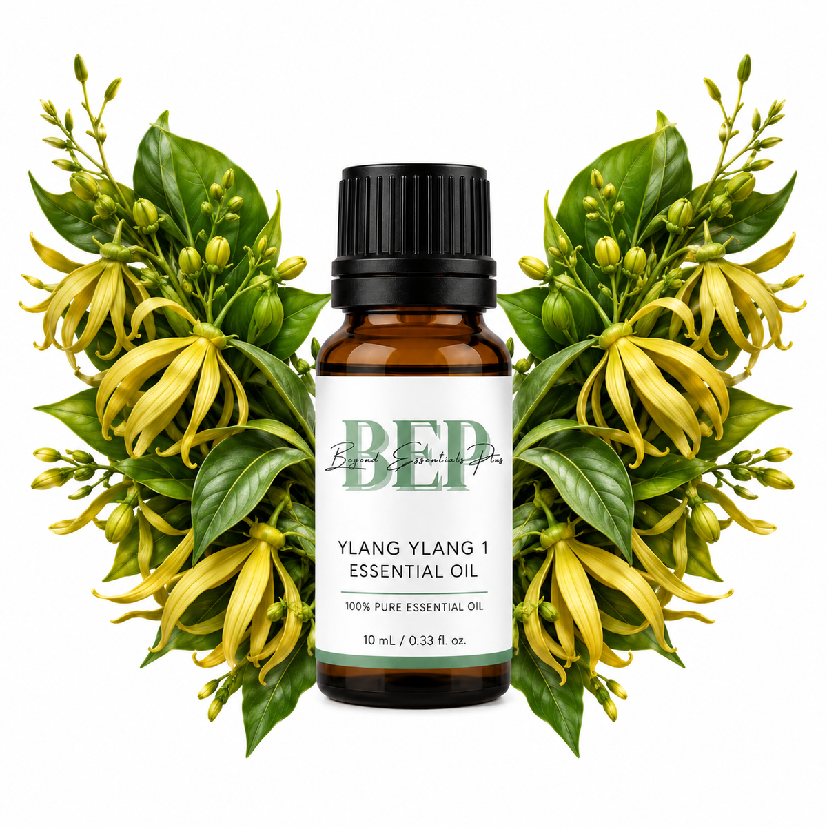 Ylang Ylang 1