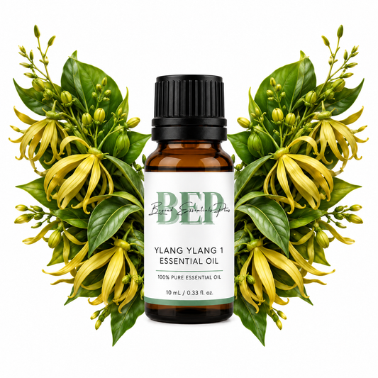 Ylang Ylang 1